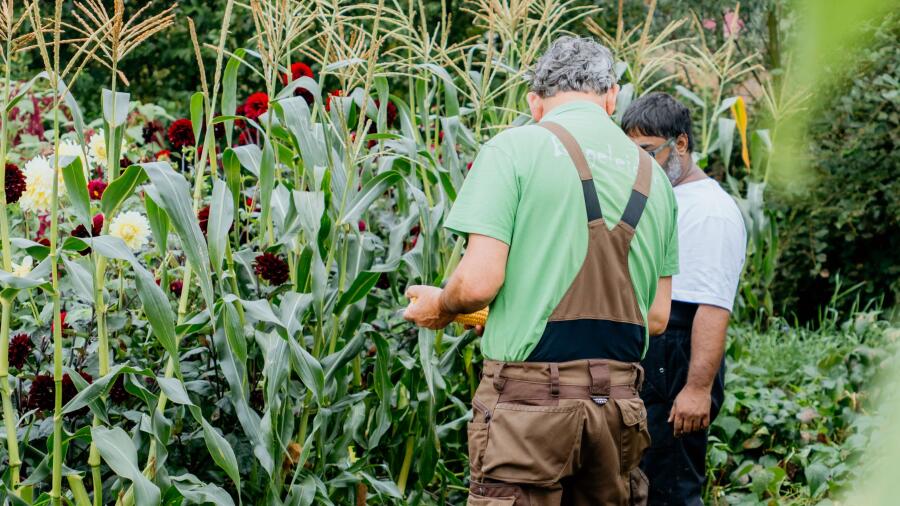 MirjanVaartjesFotografie Maargieshoeve(bewerkt,deel1) 45bijgesn