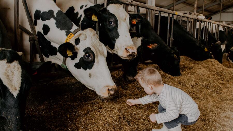 MirjanVaartjesFotografie websiteMaargieshoeve 133