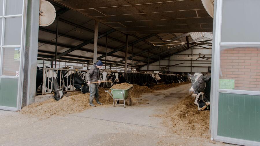 MirjanVaartjesFotografie websiteMaargieshoeve 16