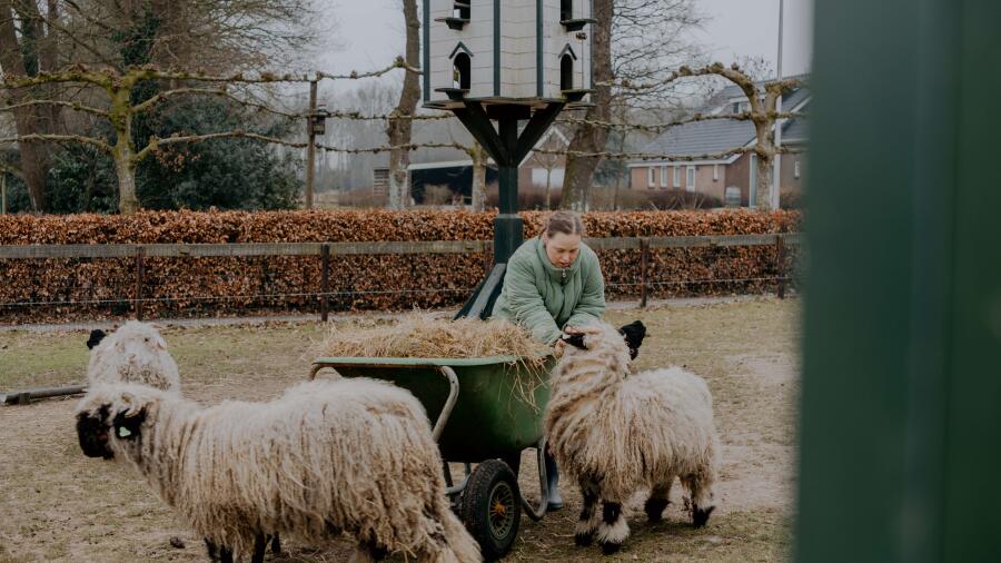 MirjanVaartjesFotografie websiteMaargieshoeve 40