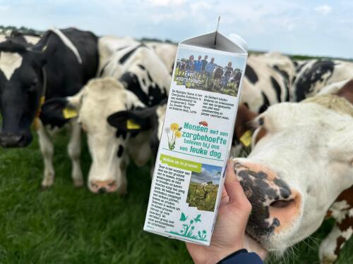 Albert Heijn melkstroom