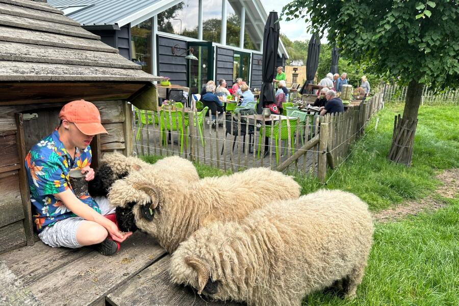 Dierenschuur tekstbord (2)
