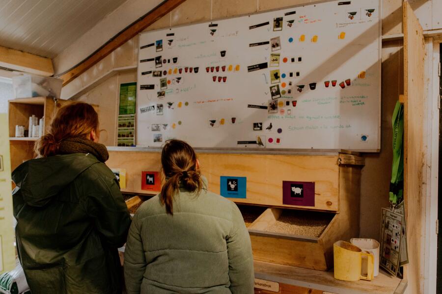 MirjanVaartjesFotografie websiteMaargieshoeve 27