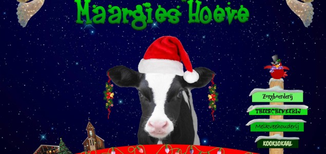 Foto voor kerstbericht op website