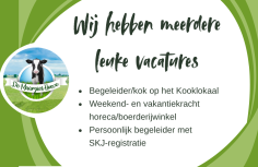 Meerdere leuke vacatures