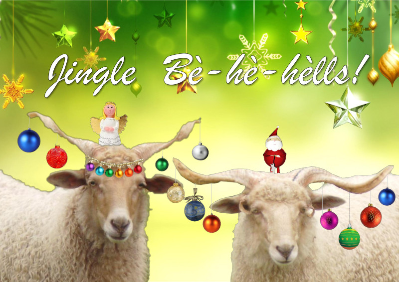 Kerstkaart 2014 twee 2