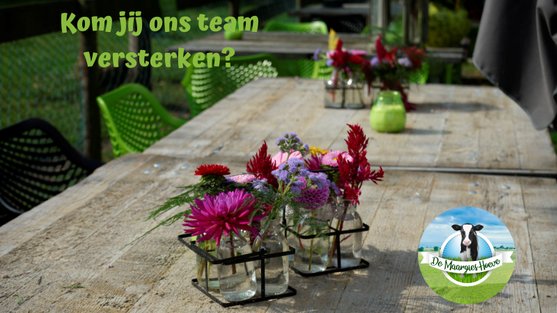 Kom jij ons team versterken 3