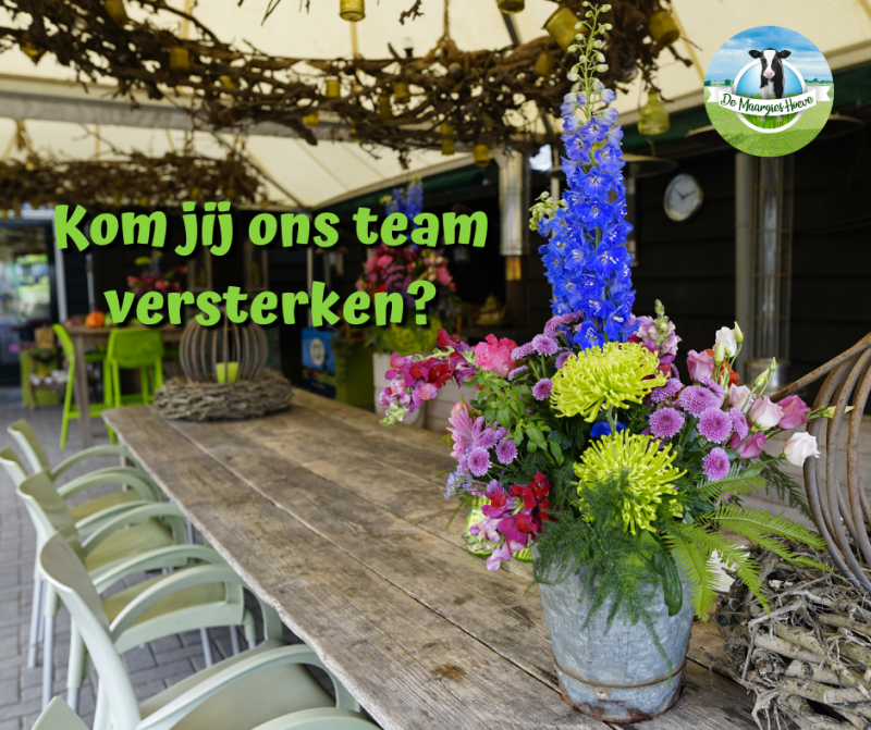 Kom jij ons team versterken 5