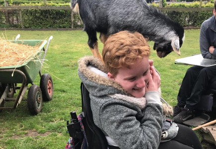 Dieren knuffelen voorjaar 2019 8